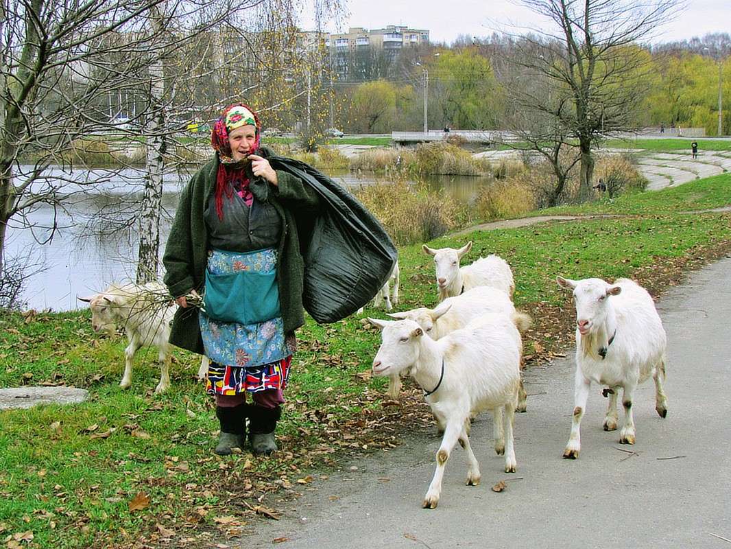 �� ���� �� ��������... ����� ���� ������ �� PhotoGeek.ru #�������� ����������