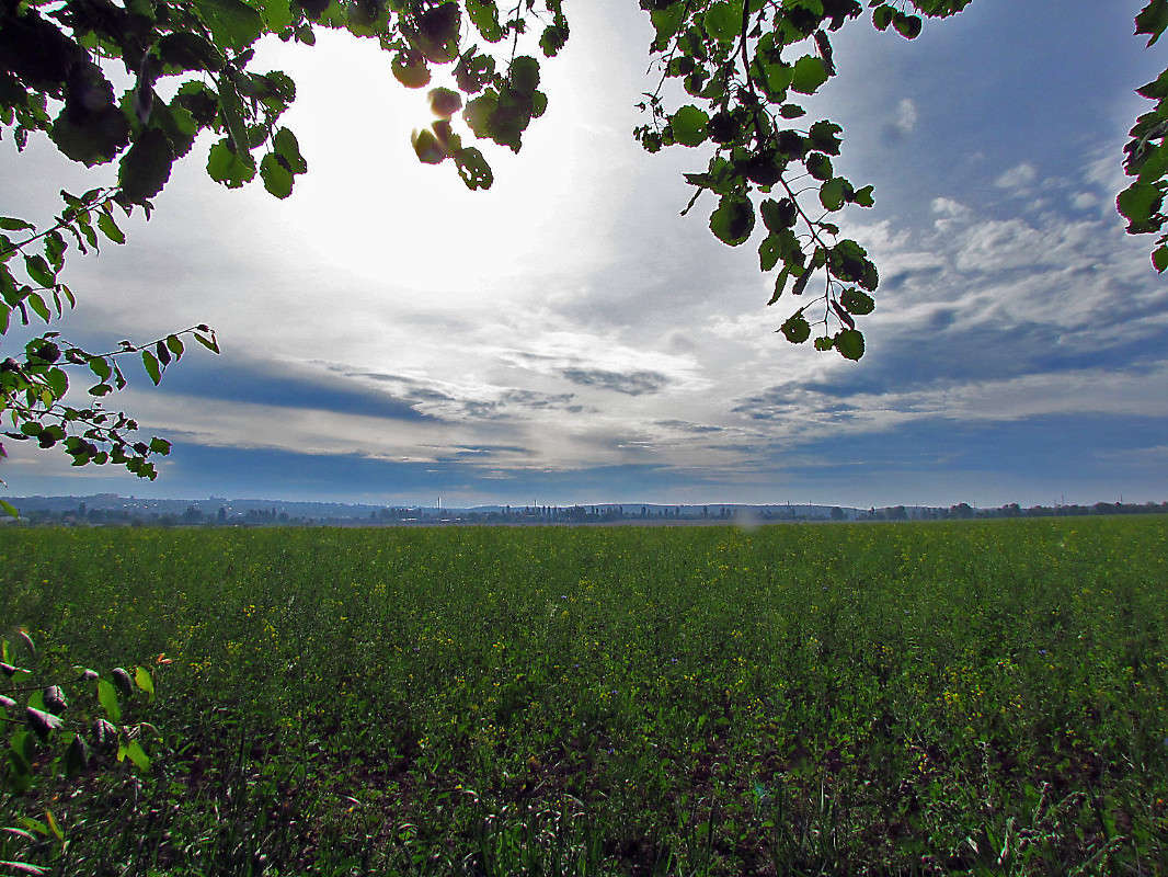 ���� ����� ���� ������ �� PhotoGeek.ru #������ ��� �������