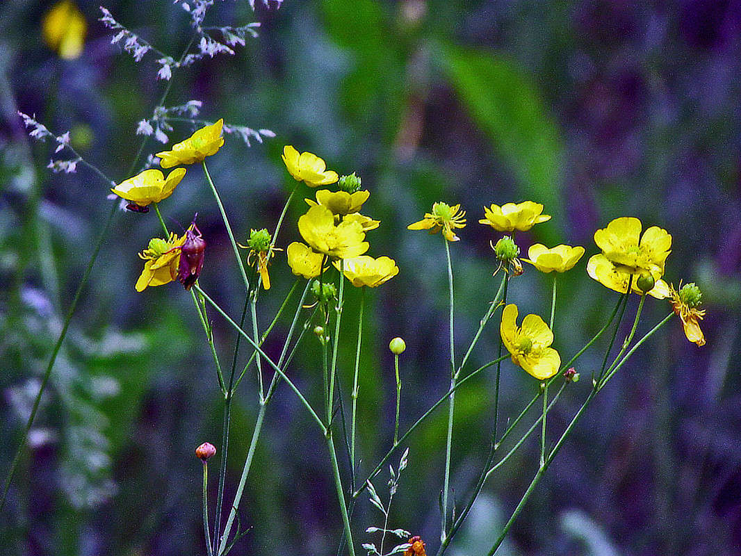 ����� ������� ����� ���� ������ �� PhotoGeek.ru #������ ��� �������