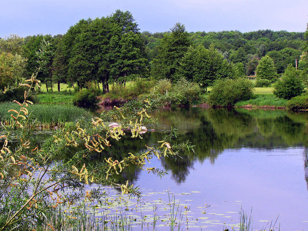 �� ���� ����� ���� ������ �� PhotoGeek.ru #������ ��� �������