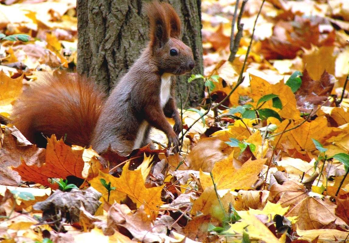 ����� ����� ���� ������ �� PhotoGeek.ru #�������� ���