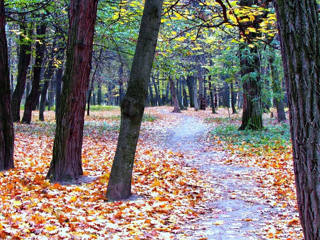 ����� ����� ���� ������ �� PhotoGeek.ru #������ ��� �������