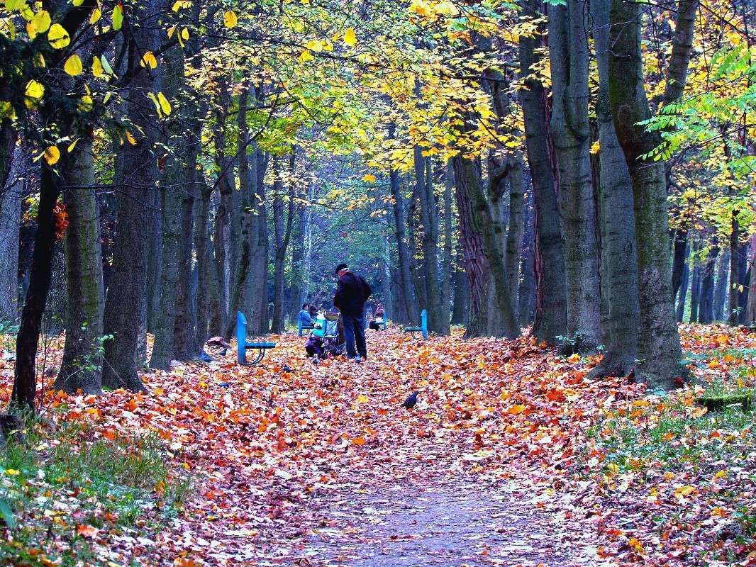 �� �������� ����� ���� ������ �� PhotoGeek.ru #������ ��� �������