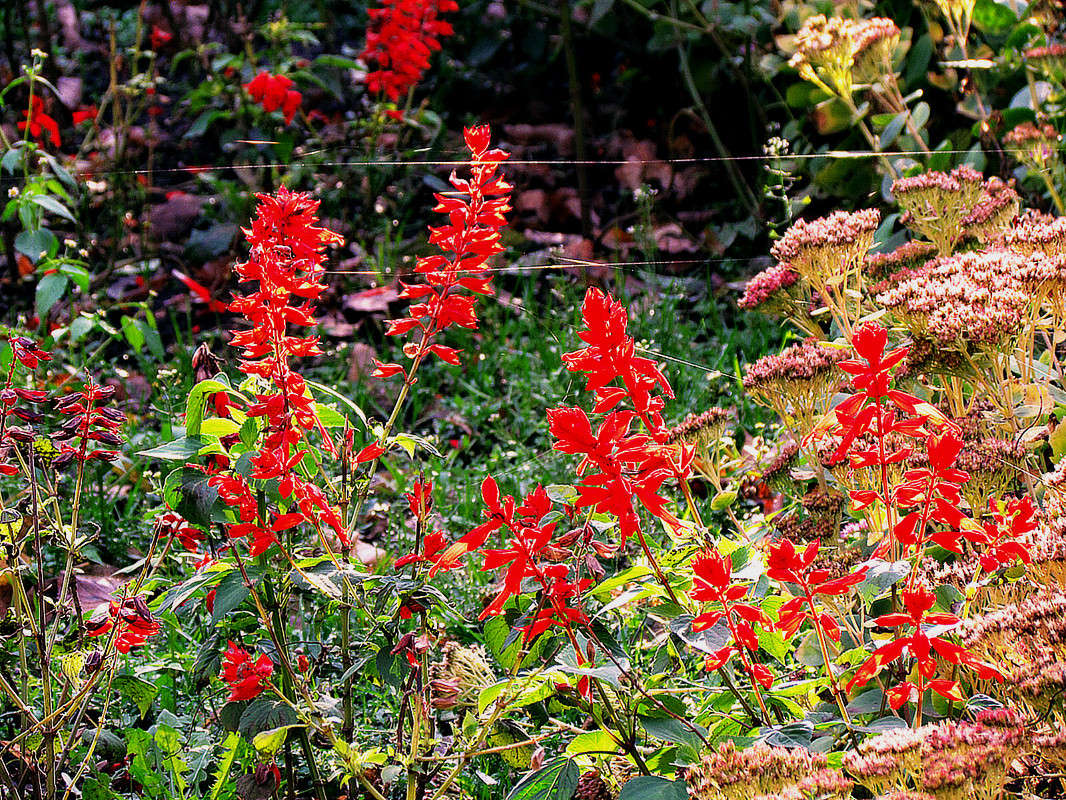 ������ ����� ����� ���� ������ �� PhotoGeek.ru #�������� ����������