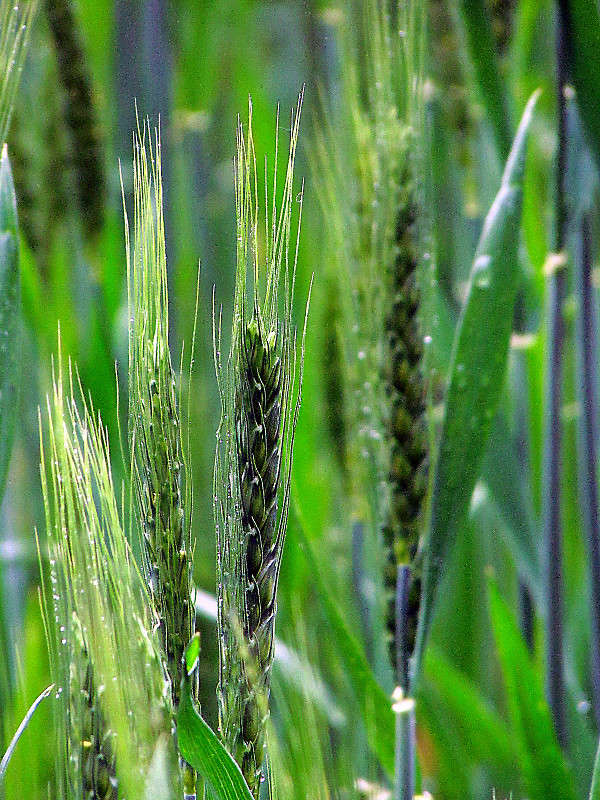 ���� ��� �������� ����� ���� ������ �� PhotoGeek.ru #�����