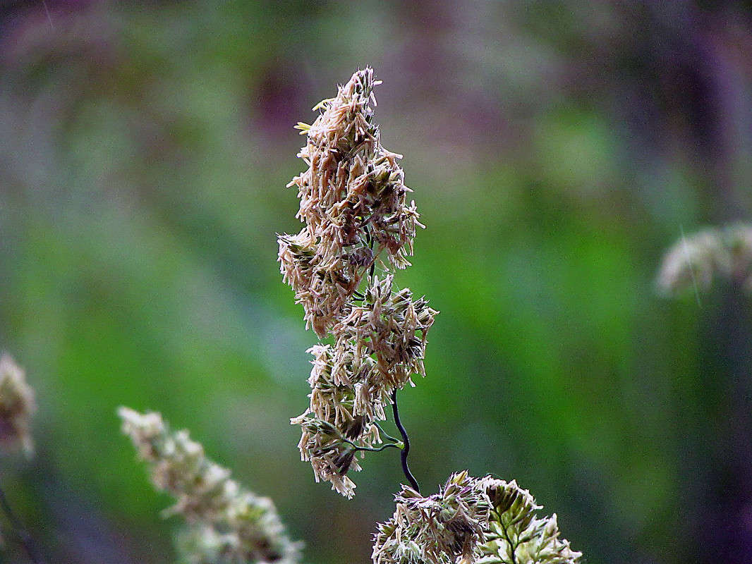 ������ ����� ���� ������ �� PhotoGeek.ru #������ ��� �������