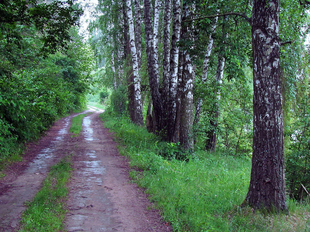 ������ ����� ���� ������ �� PhotoGeek.ru #������ ��� �������