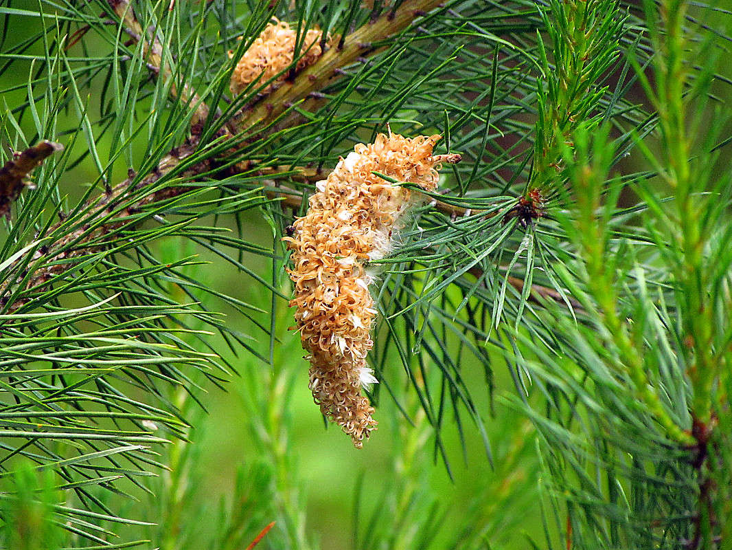 ������ ����� ����� ���� ������ �� PhotoGeek.ru #������ ��� �������