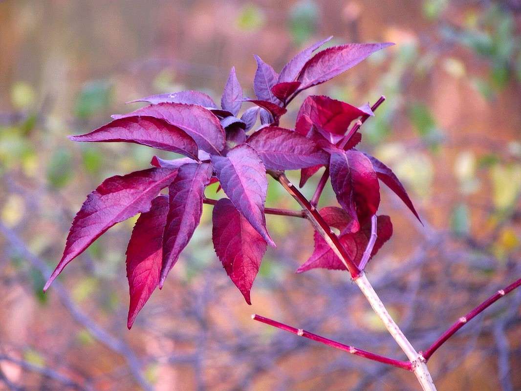 ������� ������ ����� ���� ������ �� PhotoGeek.ru #������ ��� ������� #Jctym