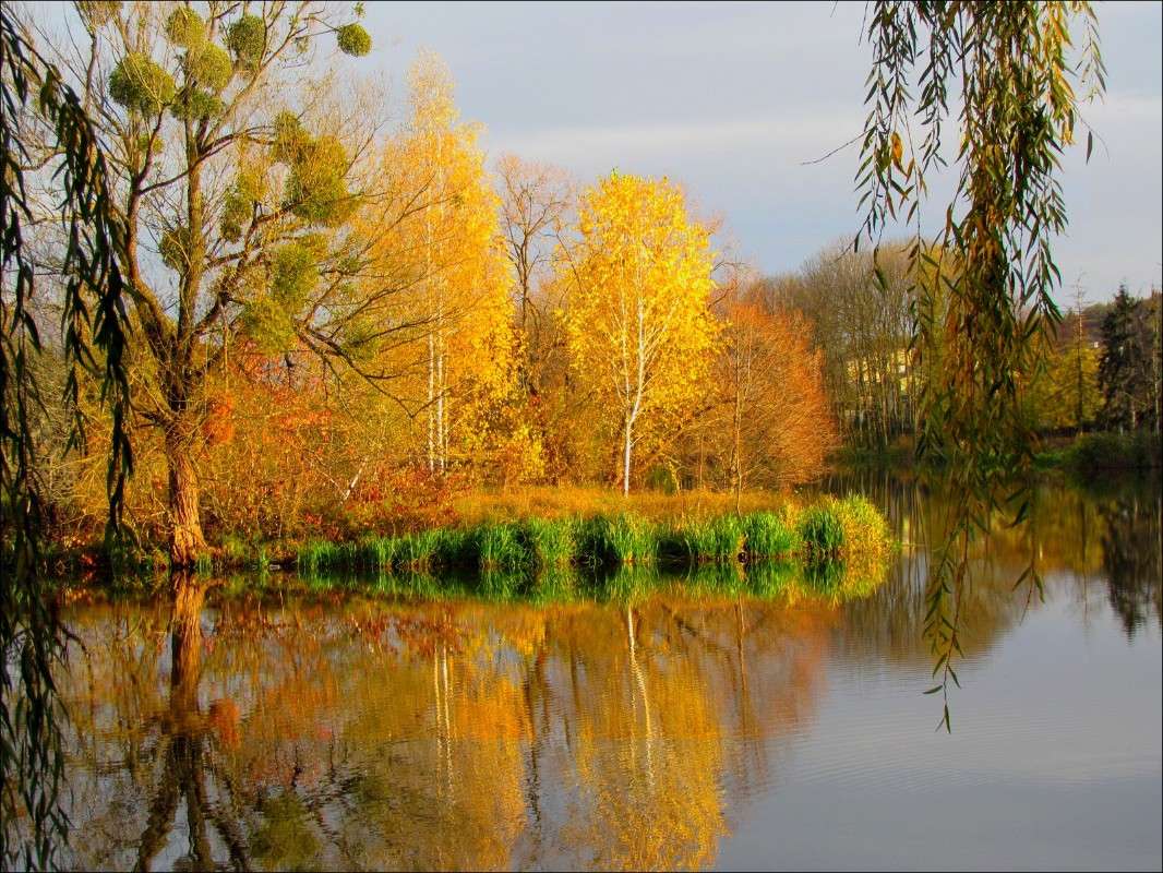 ����� ����� ���� ������ �� PhotoGeek.ru #������ ��� �������