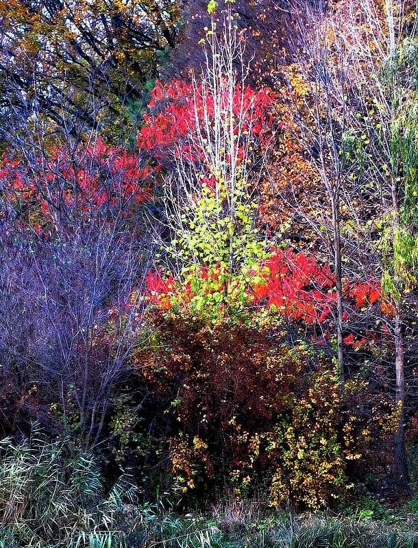 ����� ������ ����� ����� ���� ������ �� PhotoGeek.ru #������ ��� �������