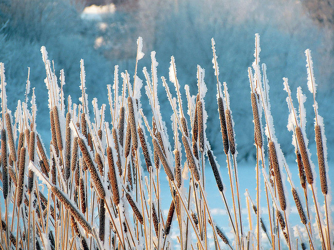 ���� ����� ���� ������ �� PhotoGeek.ru #������ ��� �������