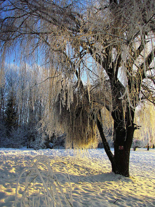 ������ ����� ���� ������ �� PhotoGeek.ru #������ ��� �������