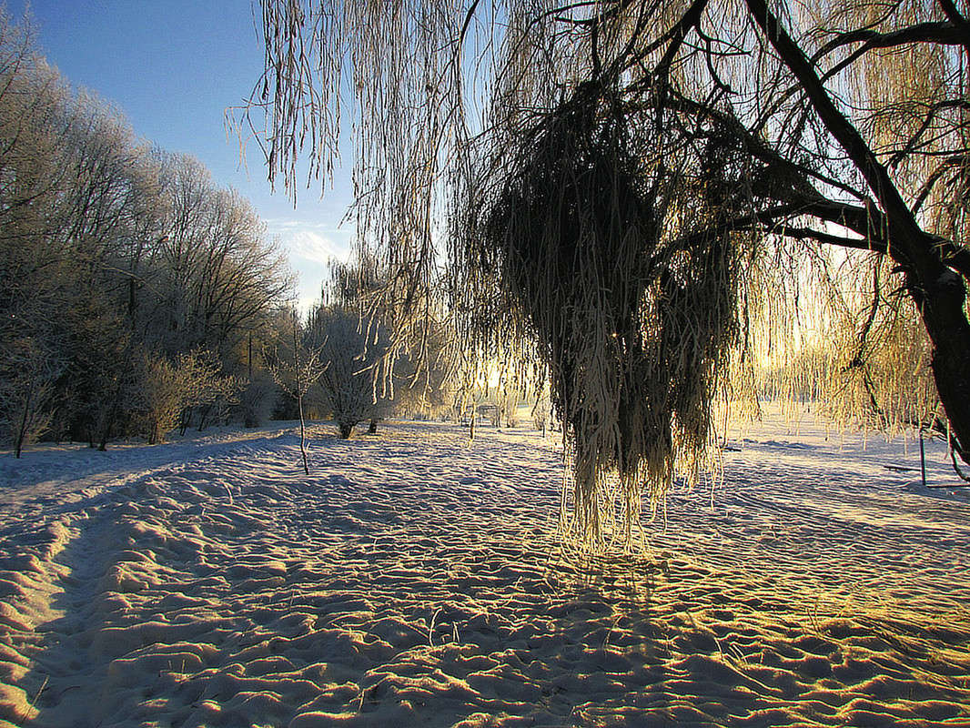 ���� ����� ���� ������ �� PhotoGeek.ru #������ ��� �������