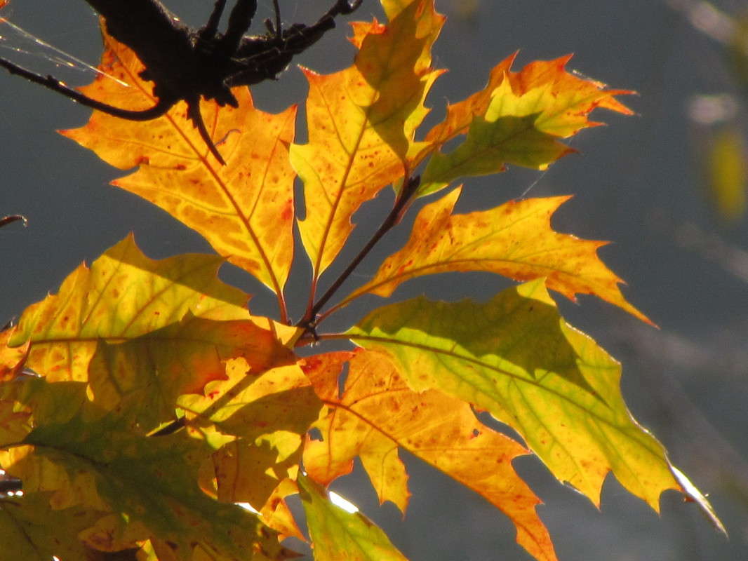 ������ ����� ���� ������ �� PhotoGeek.ru #�������� ����������