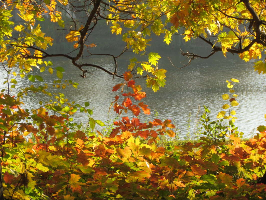 �� ������ ����� ���� ������ �� PhotoGeek.ru #������ ��� �������