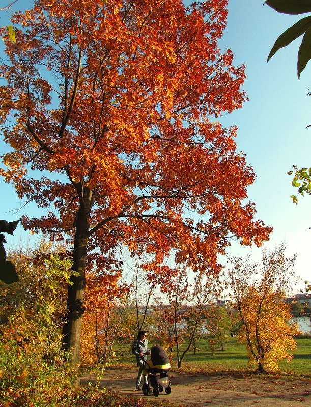 ���� ����� ���� ������ �� PhotoGeek.ru #������ ��� �������