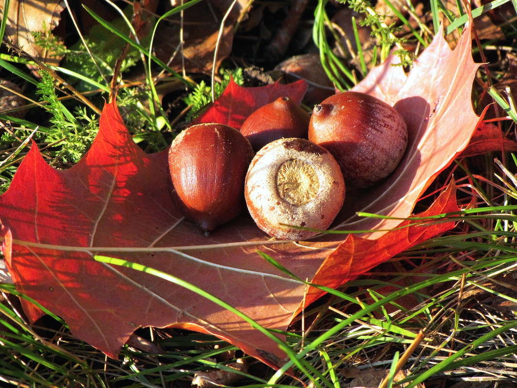 ������ ����� ���� ������ �� PhotoGeek.ru #�������� ����������