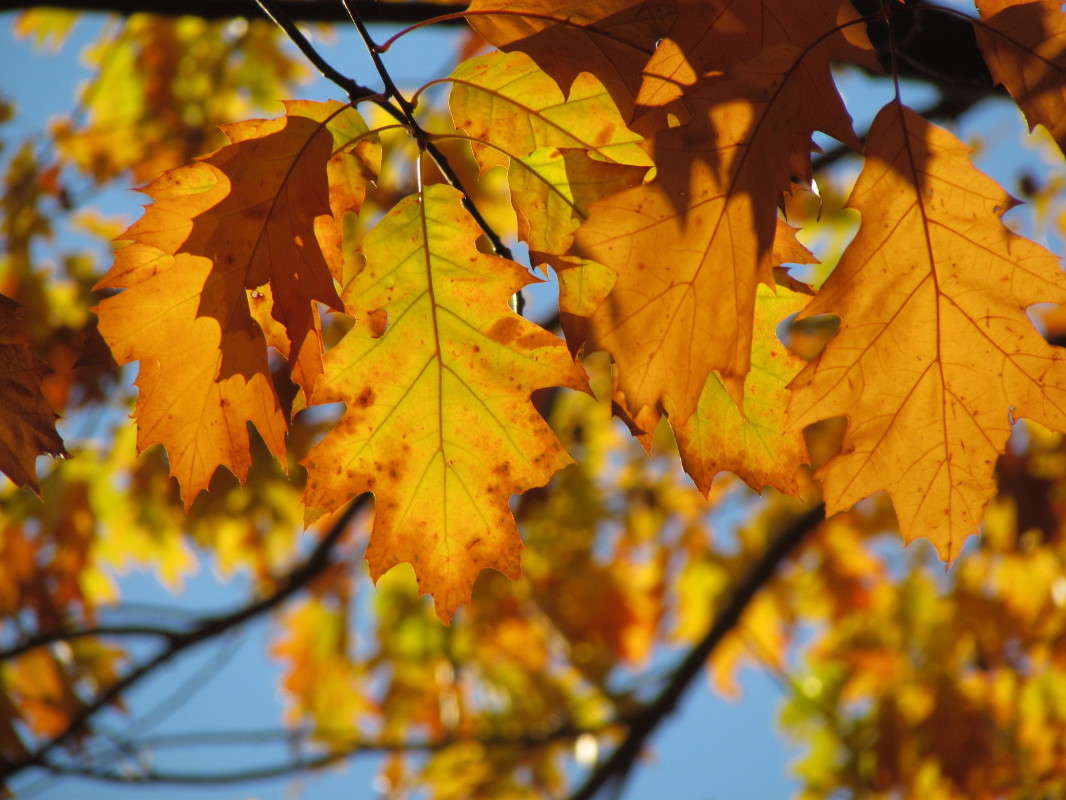 ����� ����� ���� ������ �� PhotoGeek.ru #�������� ����������