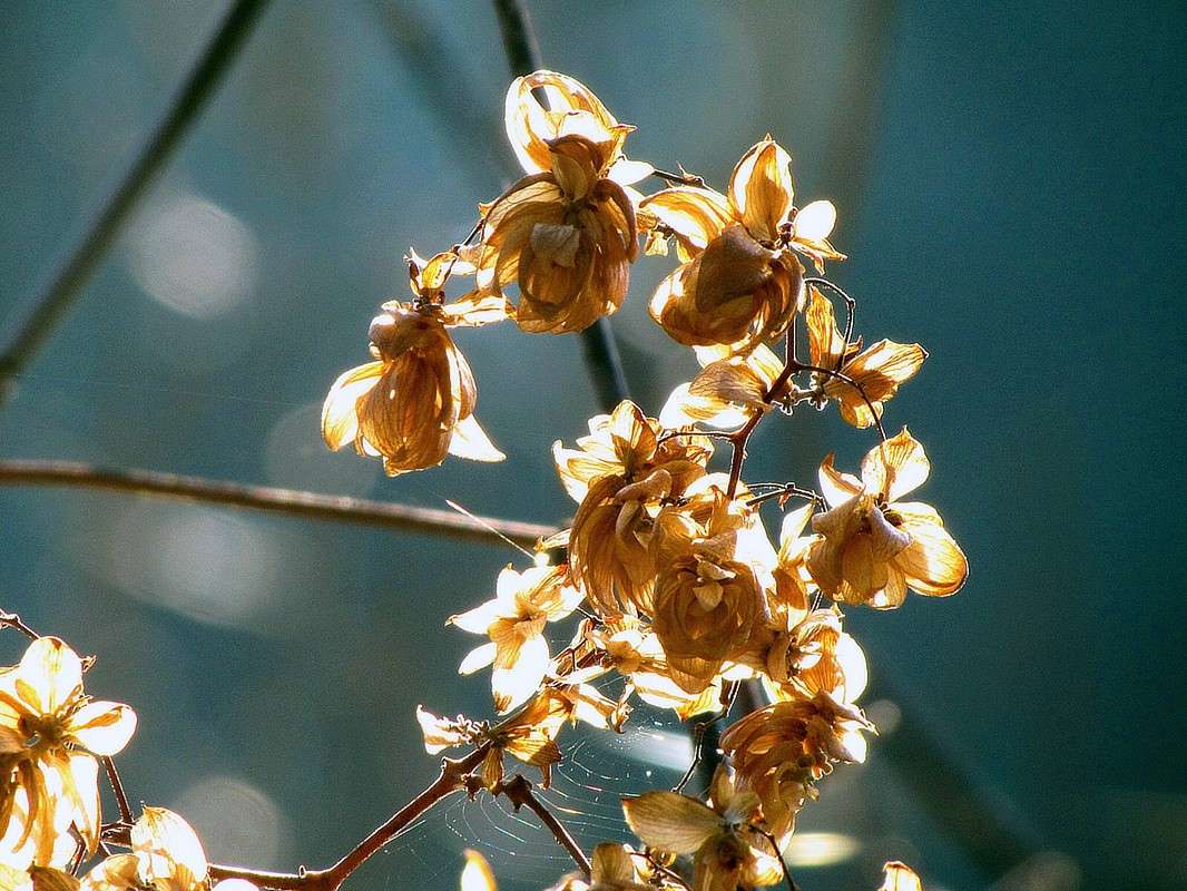 ����� ����� ���� ������ �� PhotoGeek.ru #�����