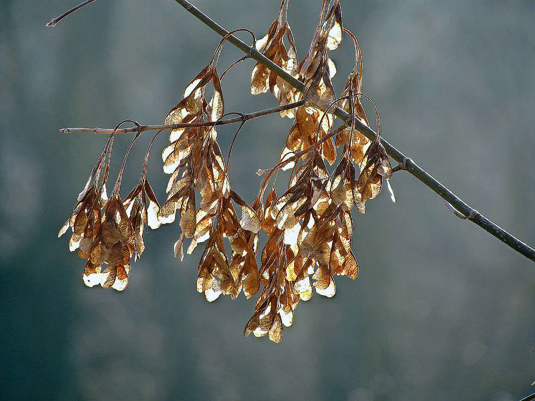 ���������� ����� ���� ������ �� PhotoGeek.ru #�������� ����������