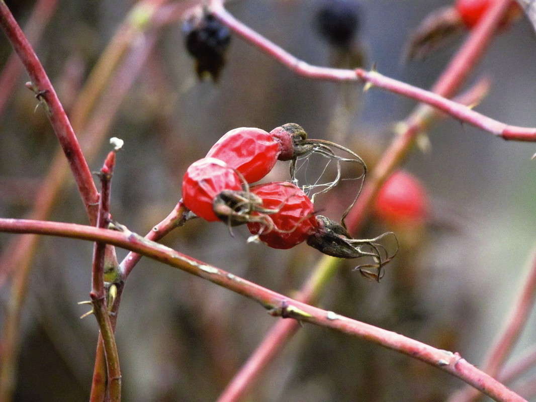 �������� ����� ���� ������ �� PhotoGeek.ru #�����