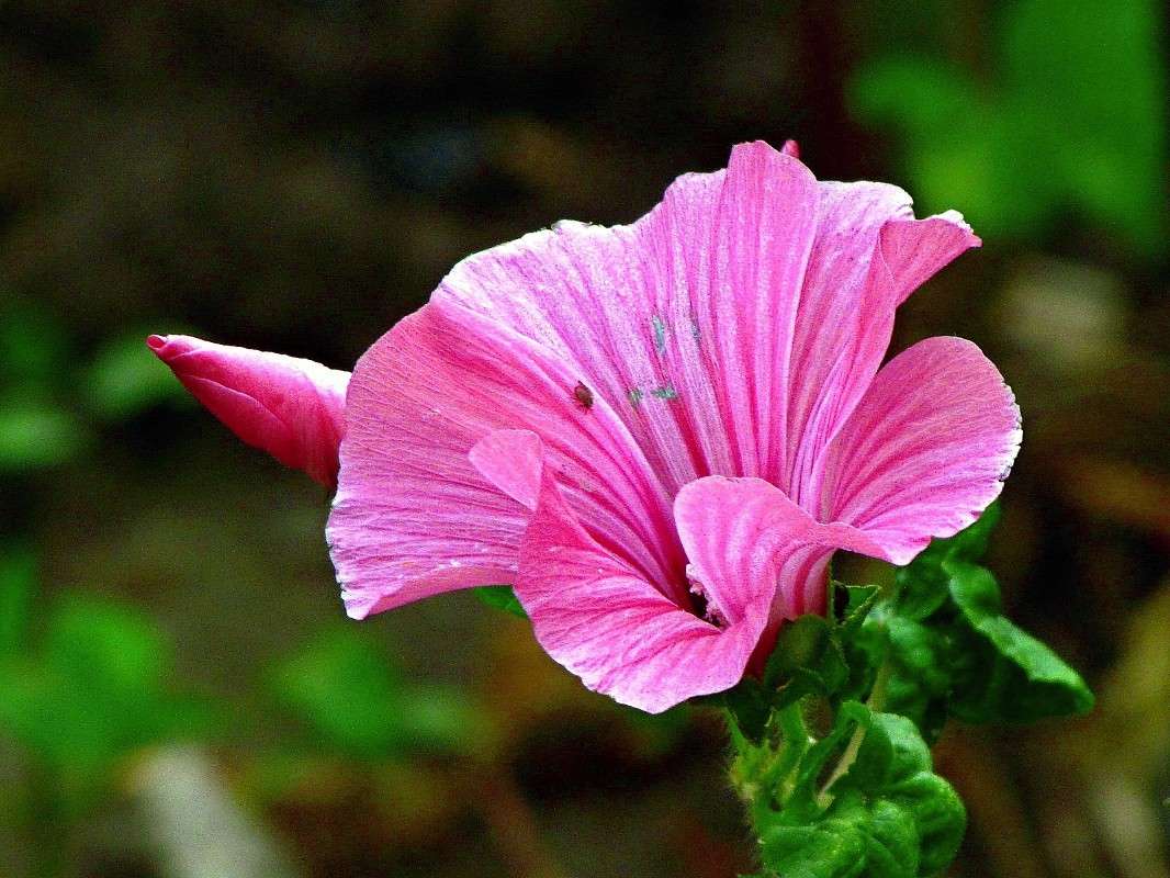 ������ ����� ���� ������ �� PhotoGeek.ru #����� #�������� ���������� #�����