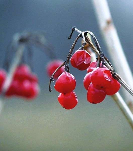 ������ ����� ���� ������ �� PhotoGeek.ru #�����