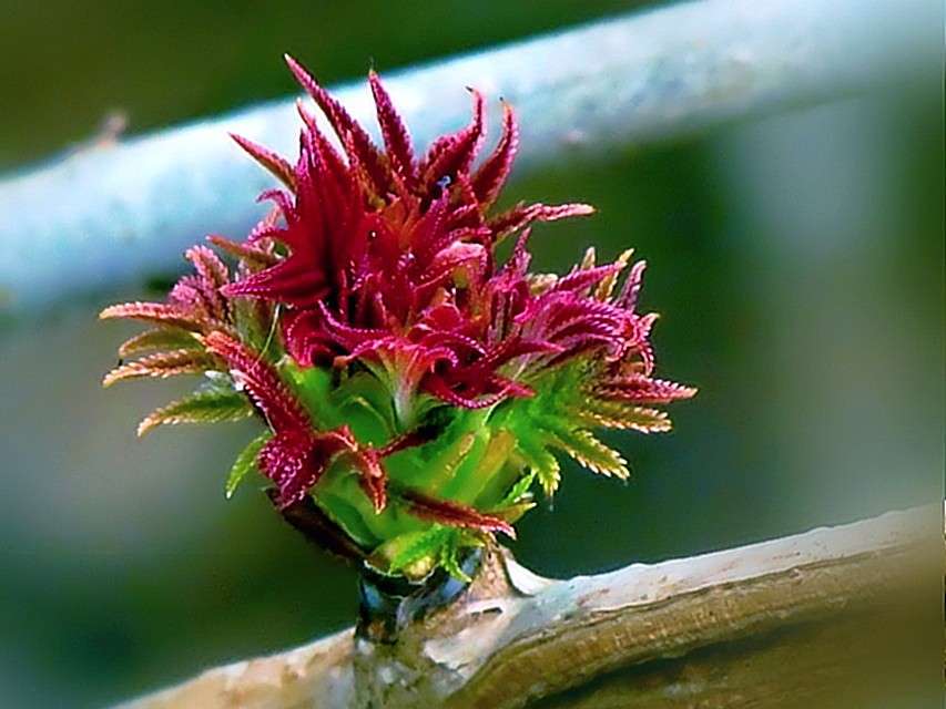 ������ ������������ ����� ���� ������ �� PhotoGeek.ru #������ ��� �������