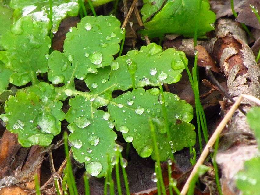 ����� ����� ����� ���� ������ �� PhotoGeek.ru #�����