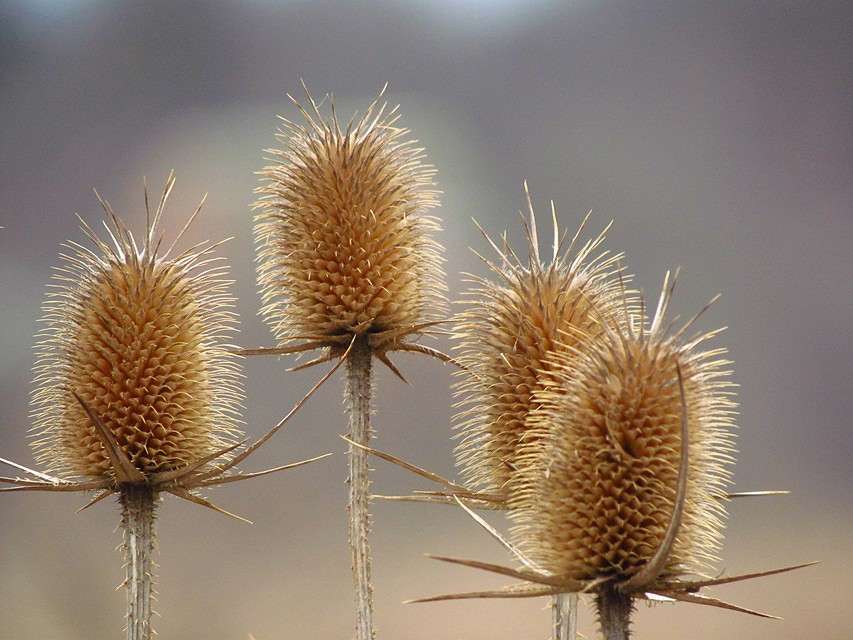 ���������� ����� ���� ������ �� PhotoGeek.ru #�����