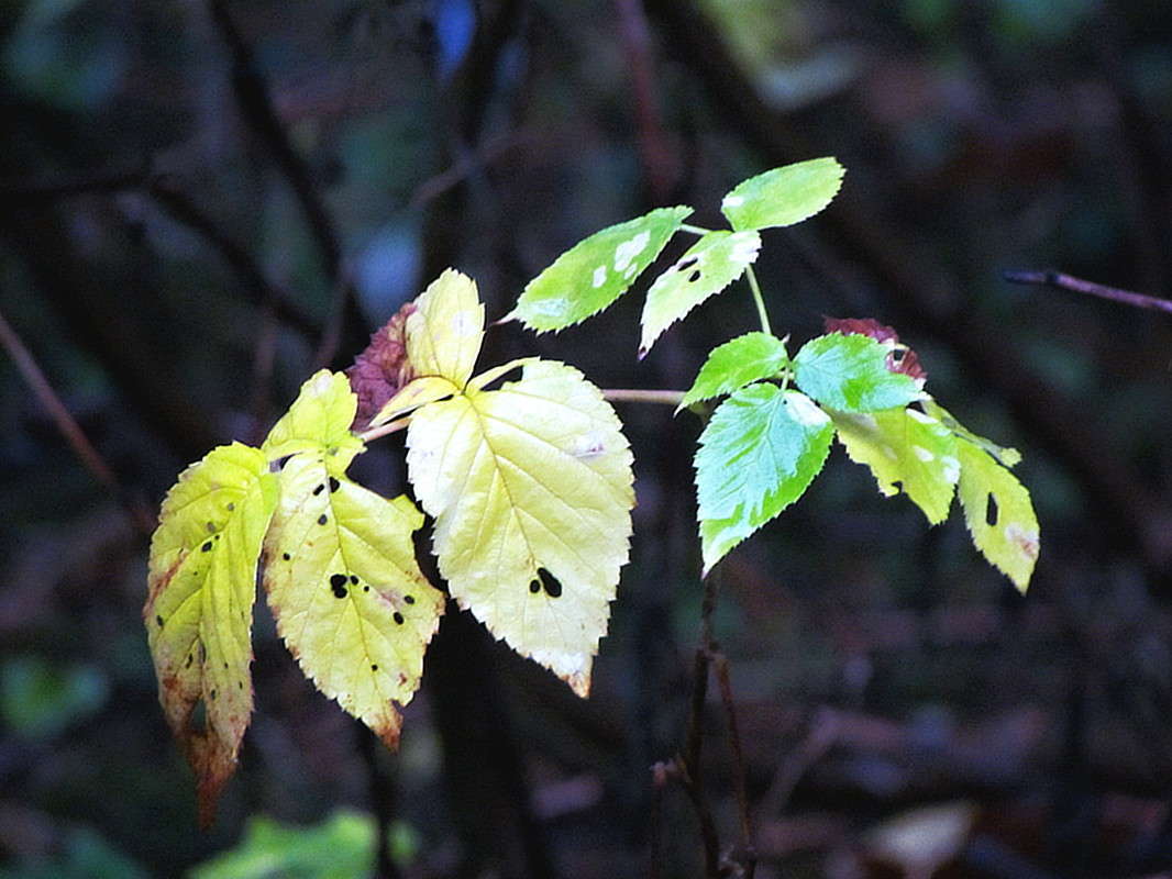 ������� ������ ����� ���� ������ �� PhotoGeek.ru #������ ��� �������