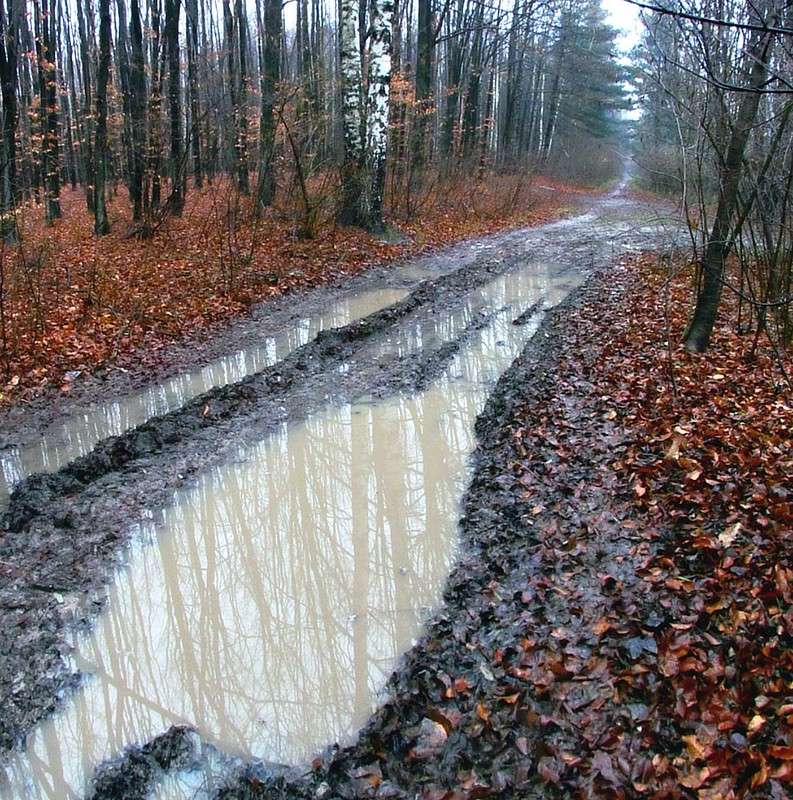 ����� ����� ���� ������ �� PhotoGeek.ru #������ ��� �������