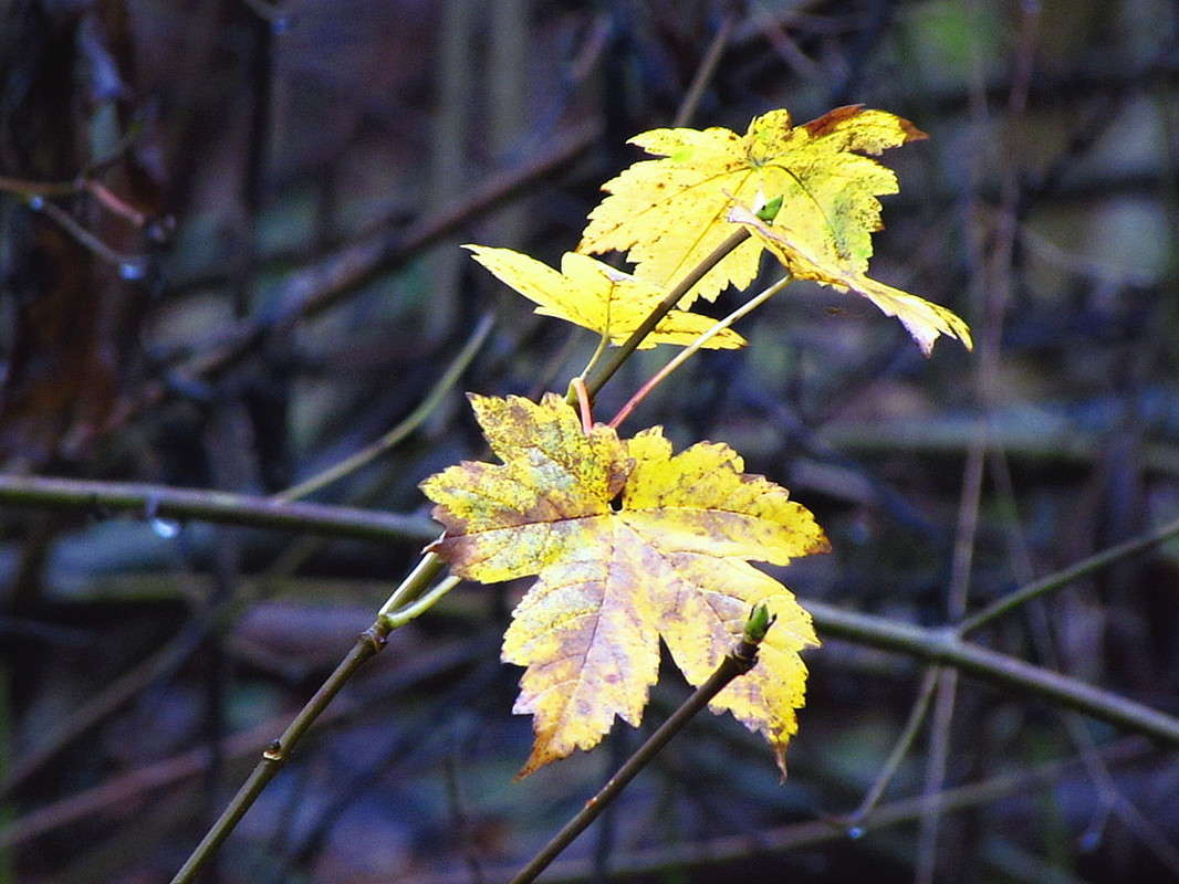 ������ ����� ����� ���� ������ �� PhotoGeek.ru #������ ��� �������