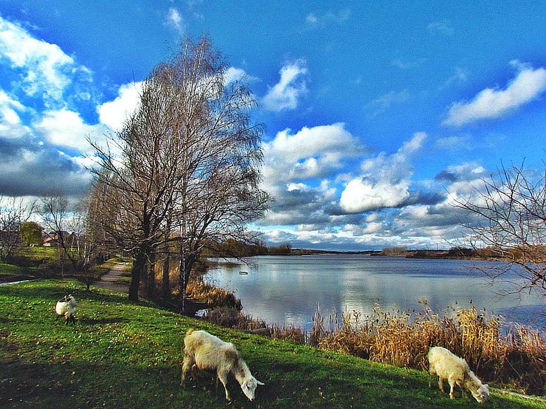 � ����� ����� ���� ������ �� PhotoGeek.ru #�������� ���