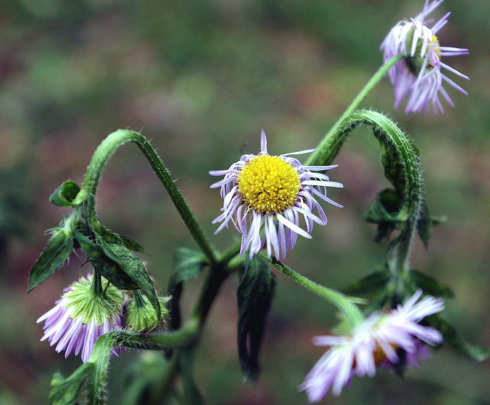 ������� ����� ���� ������ �� PhotoGeek.ru #������ ��� �������