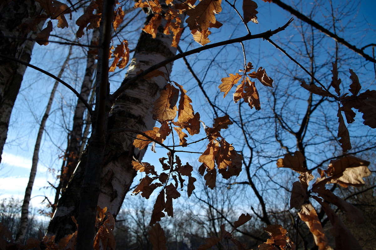 ����� ����� ���� ������ �� PhotoGeek.ru #������ ��� �������