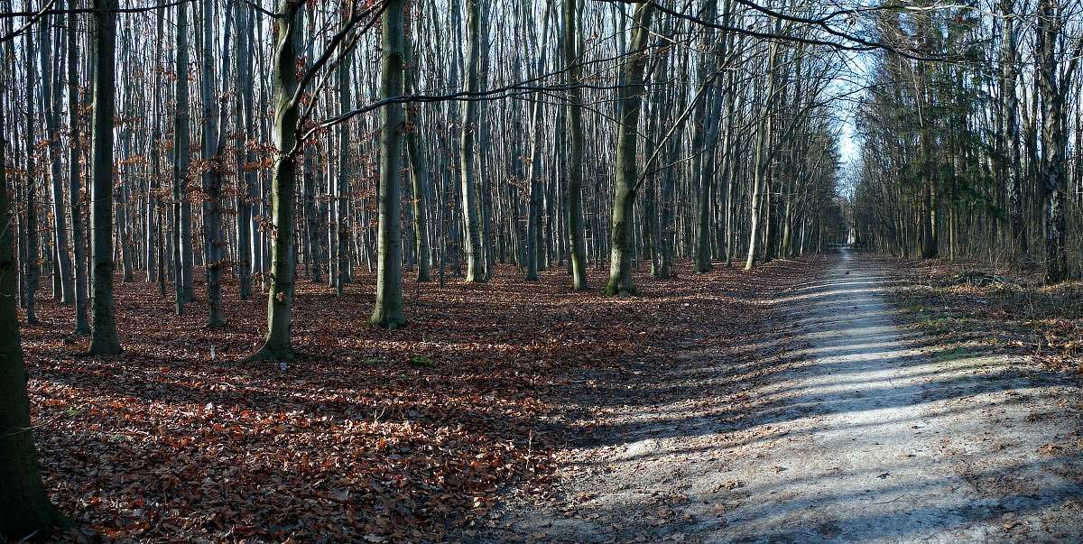 ����� ����� ���� ������ �� PhotoGeek.ru #������ ��� �������