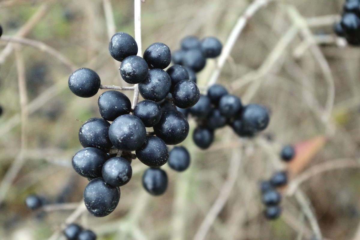 ����� ����� ���� ������ �� PhotoGeek.ru #������ ��� �������