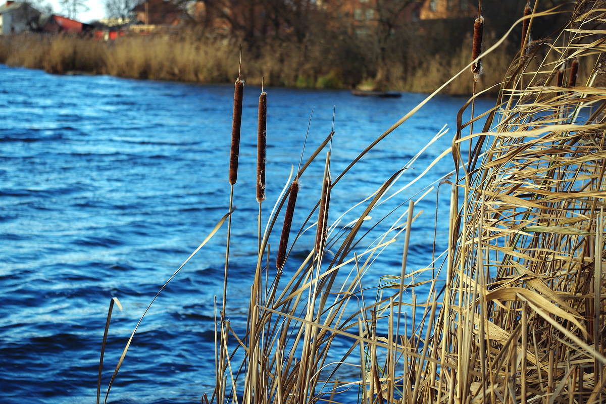 �� ����� ����� ���� ������ �� PhotoGeek.ru #������ ��� �������