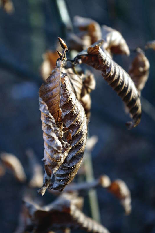 ������ ����� ���� ������ �� PhotoGeek.ru #�����