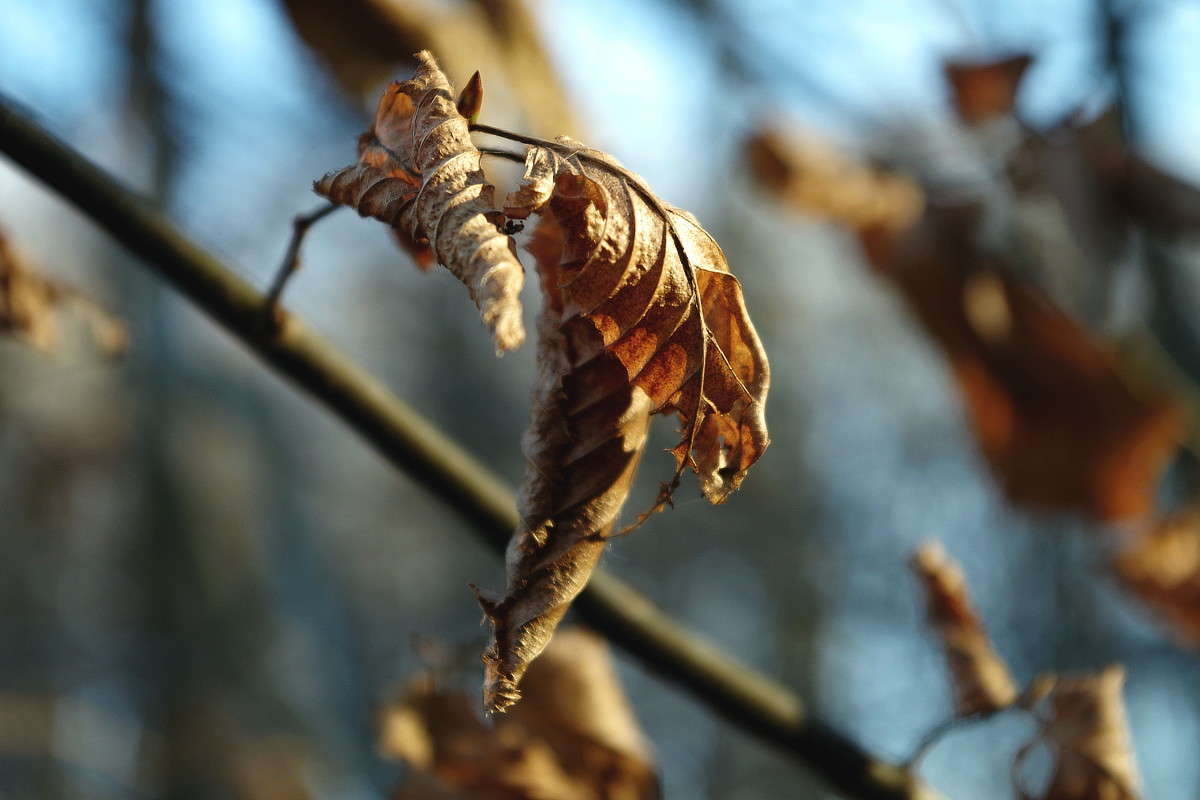 ������ ����� ���� ������ �� PhotoGeek.ru #�����