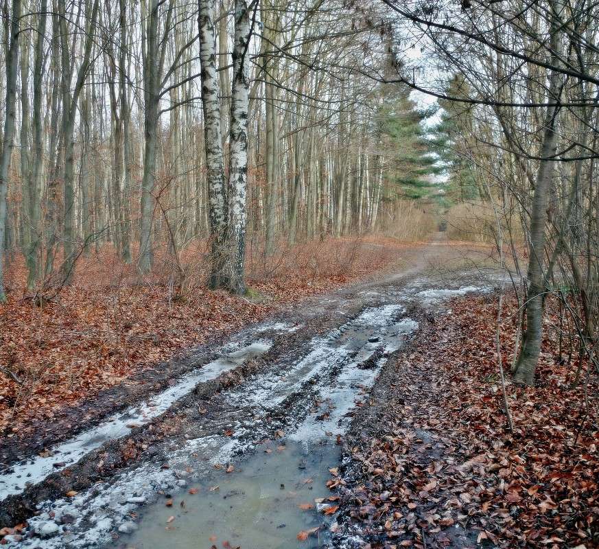 ������ ��������� ����� ���� ������ �� PhotoGeek.ru #������ ��� �������