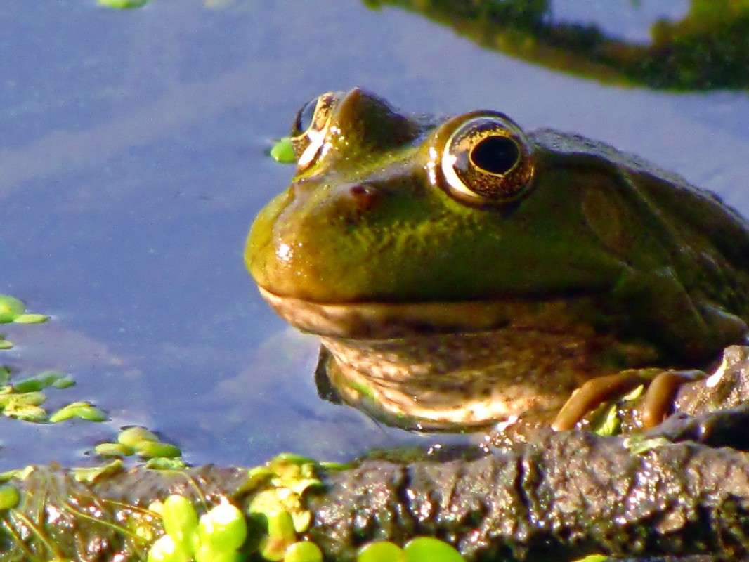 ������� ����� ���� ������ �� PhotoGeek.ru #�������� ���