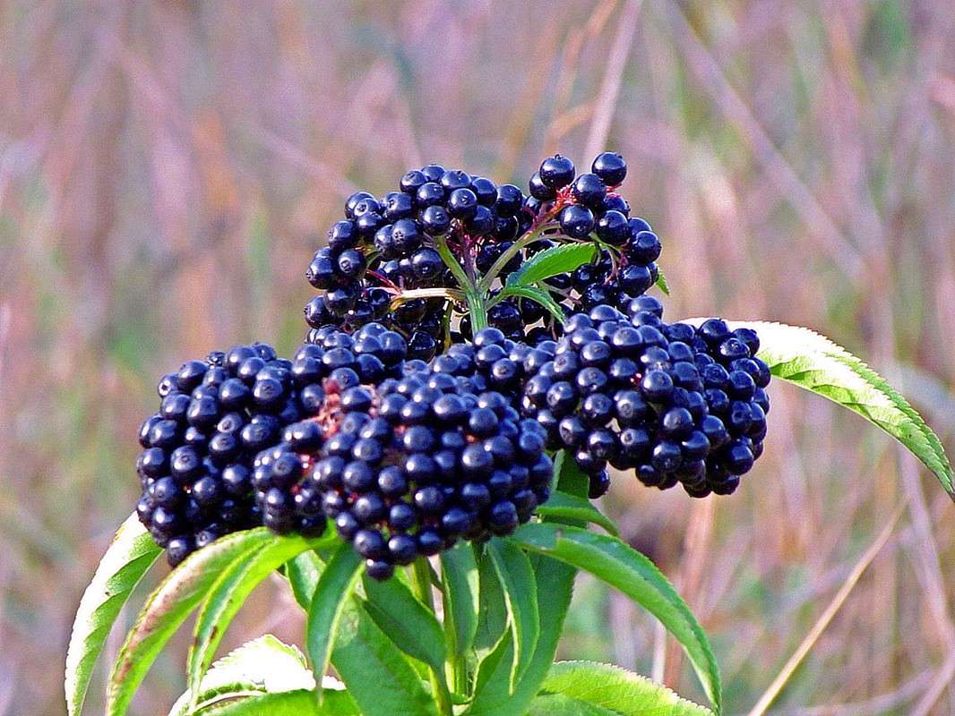 ����� ����� ���� ������ �� PhotoGeek.ru #������ ��� �������