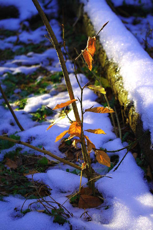 �������... ����� ���� ������ �� PhotoGeek.ru #������ ��� �������