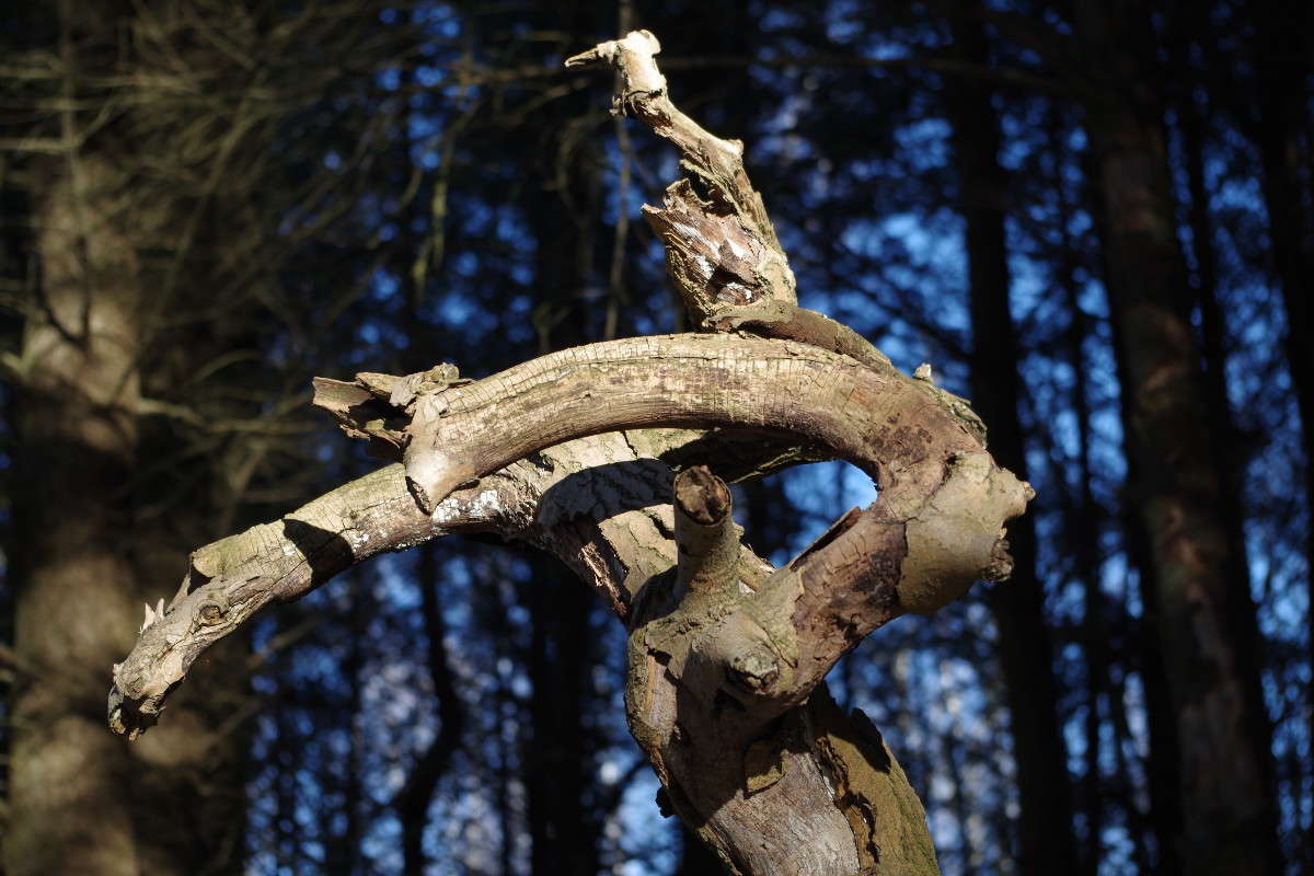 �������� ����� ���� ������ �� PhotoGeek.ru #�������� ����������