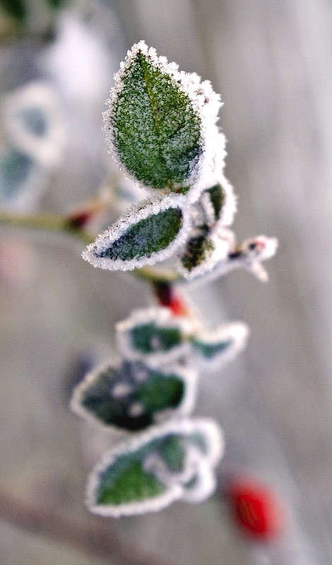 ���������� ���� ����� ���� ������ �� PhotoGeek.ru #�����