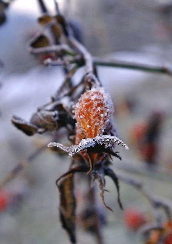 �������� ����� ���� ������ �� PhotoGeek.ru #�����