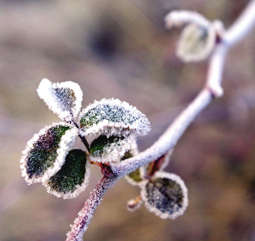 �������... ����� ���� ������ �� PhotoGeek.ru #�����